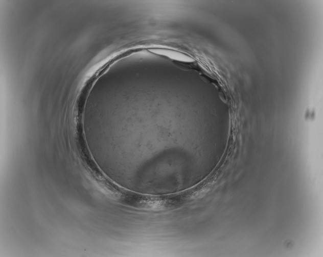 X0000093370295200711011234