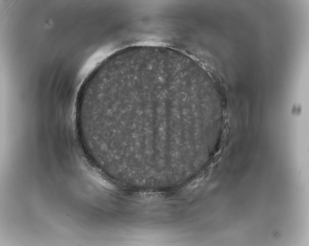 X0000093370296200711011234