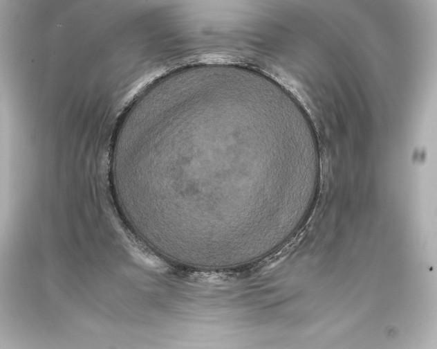 X0000093370297200711011234