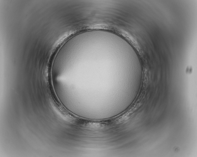 X0000093370298200711011234