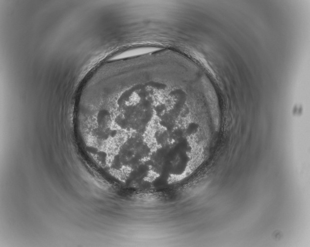 X0000093370299200711011234