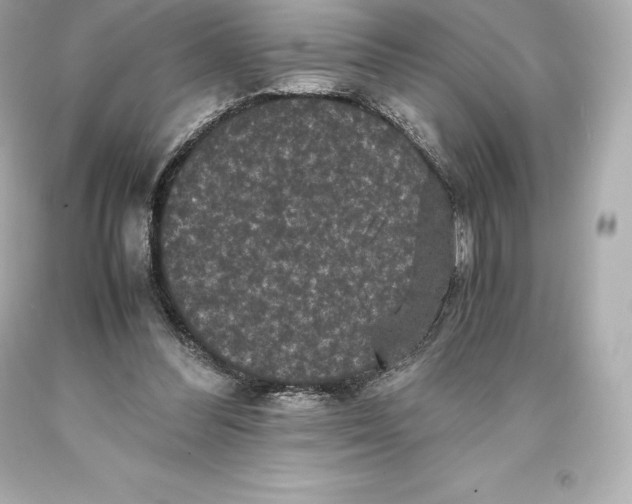 X0000093370300200711011234