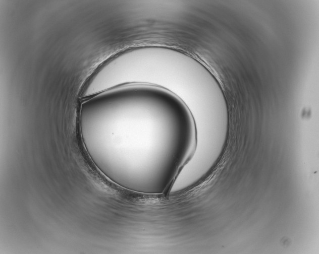 X0000093370301200711011234