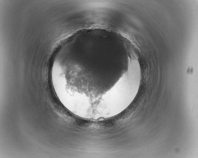 X0000093370303200711011234