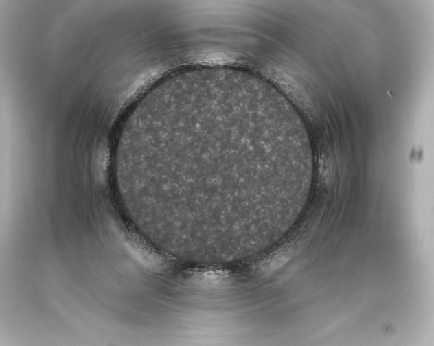 X0000093370304200711011234