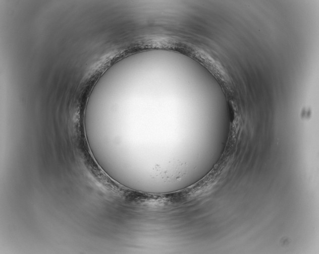 X0000093370306200711011234