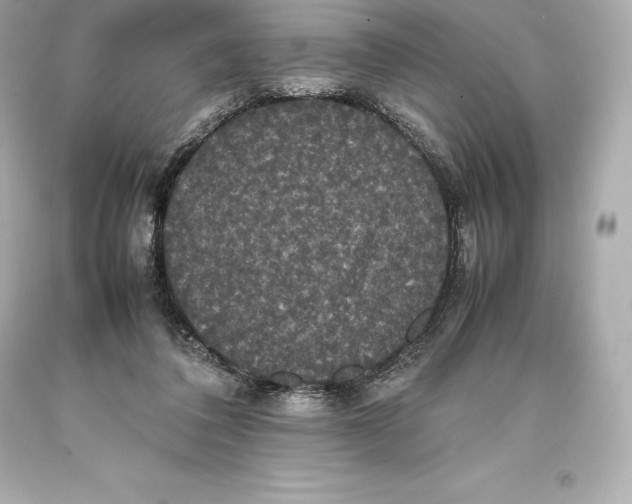 X0000093370308200711011234