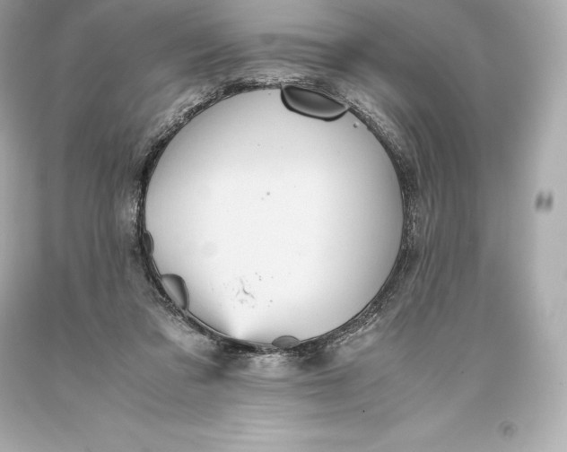 X0000093370309200711011234