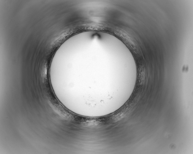 X0000093370310200711011234