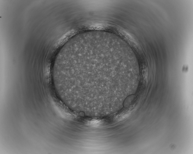 X0000093370312200711011234