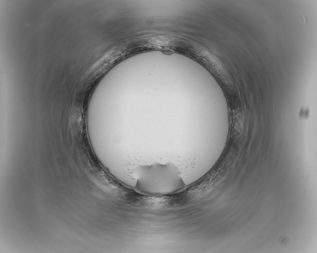 X0000093370313200711011234