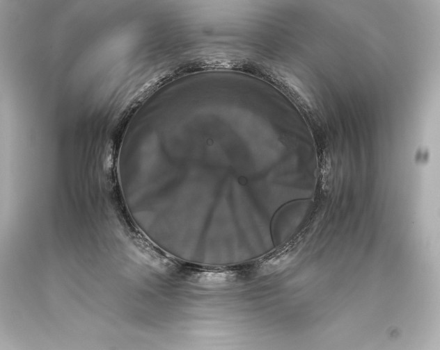 X0000093370314200711011234