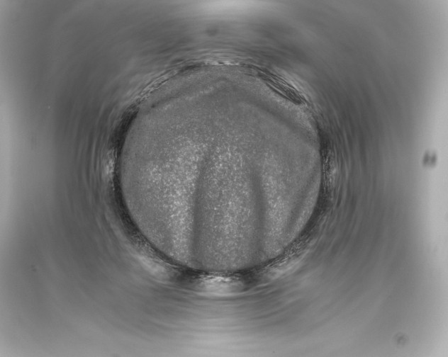 X0000093370315200711011234