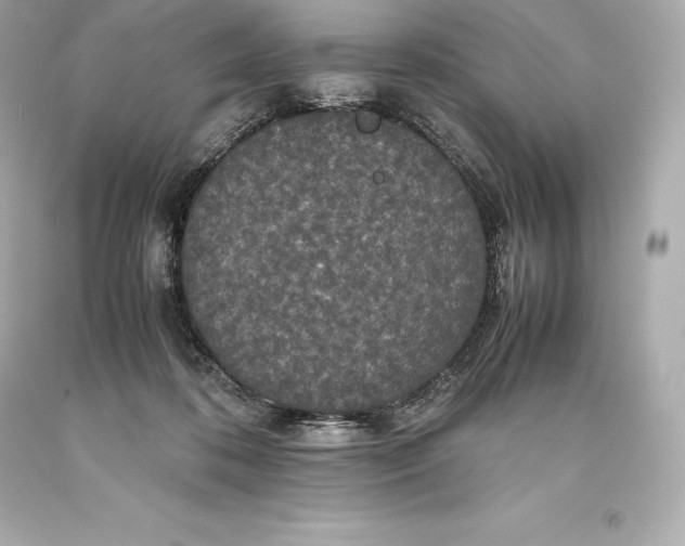 X0000093370316200711011234