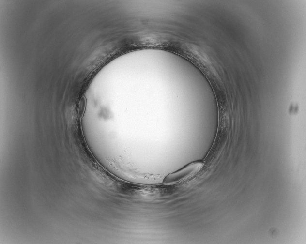 X0000093370317200711011234