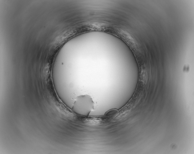 X0000093370318200711011234