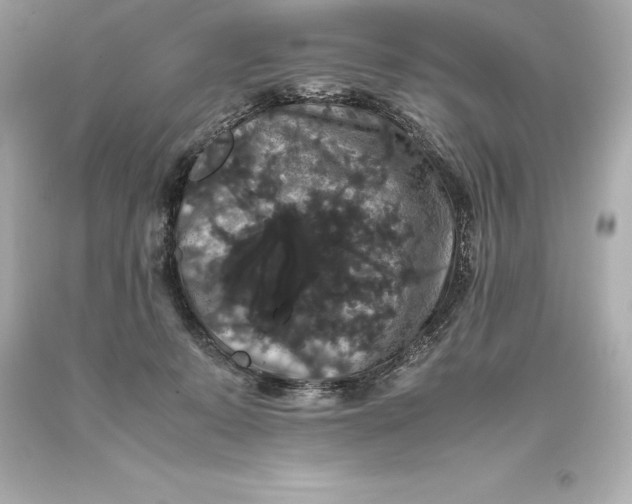 X0000093370319200711011234