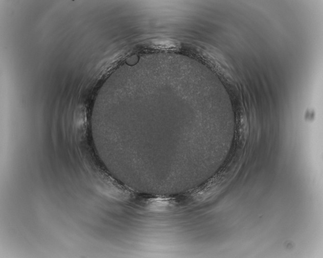 X0000093370320200711011234