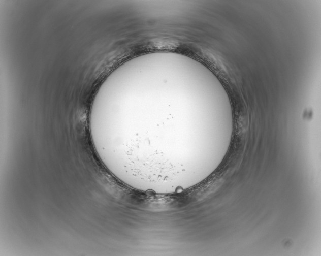 X0000093370321200711011234