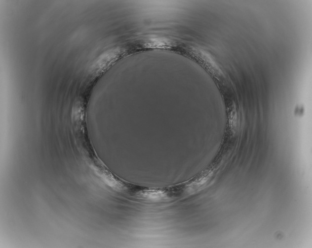 X0000093370322200711011234