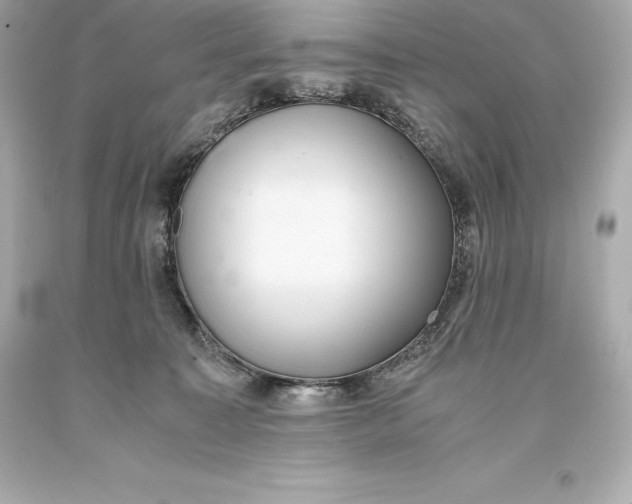 X0000093370323200711011234