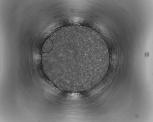 X0000093370324200711011234