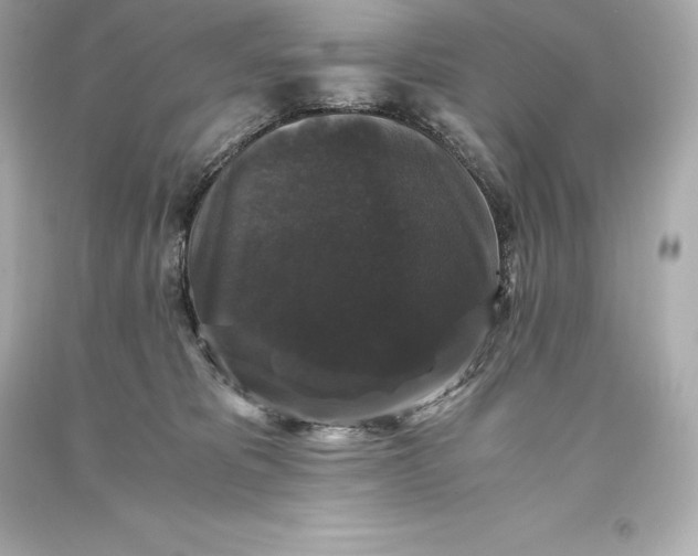 X0000093370325200711011234