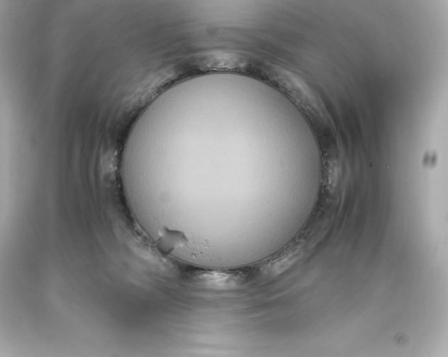 X0000093370326200711011234