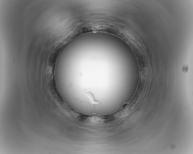 X0000093370327200711011234