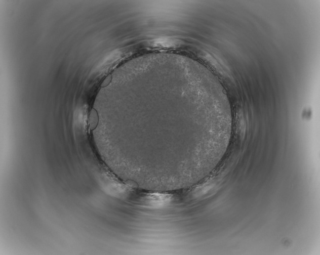 X0000093370328200711011234