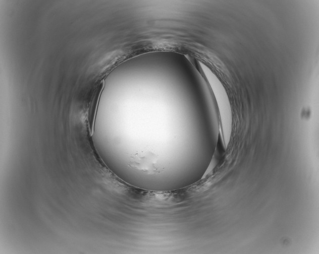 X0000093370329200711011234