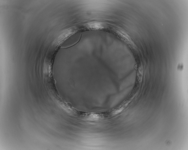 X0000093370330200711011234