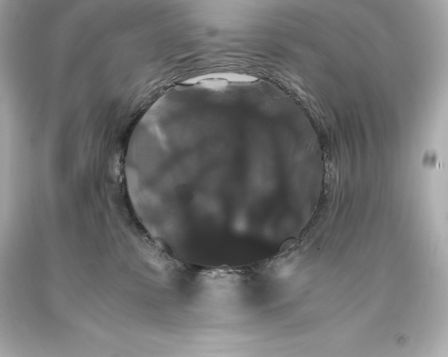 X0000093370331200711011234