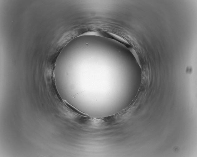 X0000093370333200711011234