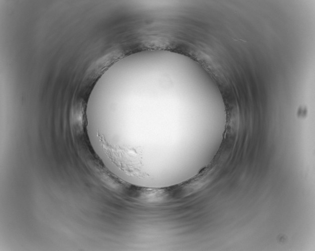 X0000093370334200711011234