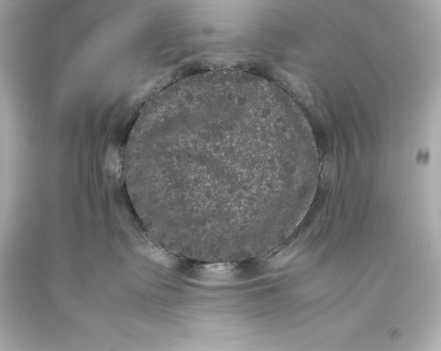 X0000093370335200711011234