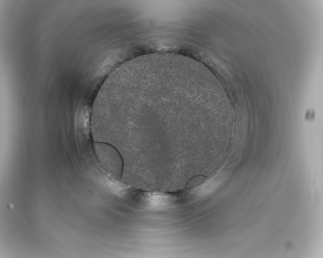 X0000093370336200711011234