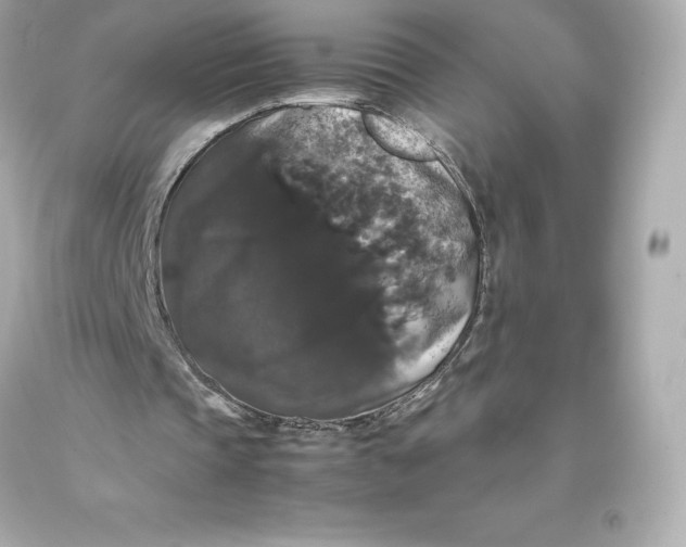 X0000093370337200711011233