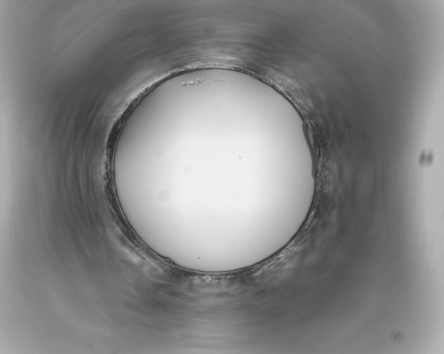 X0000093370338200711011233