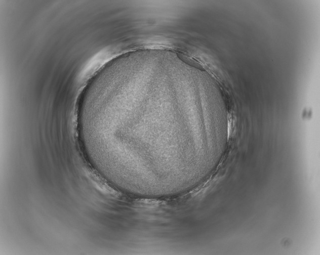 X0000093370339200711011233