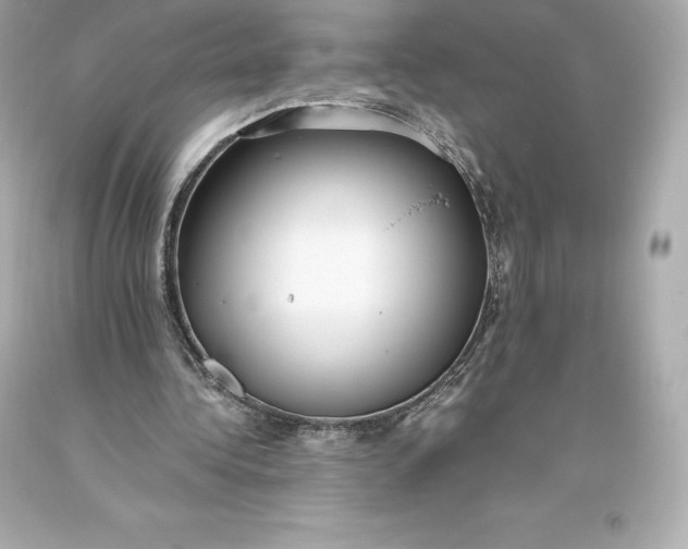 X0000093370340200711011233