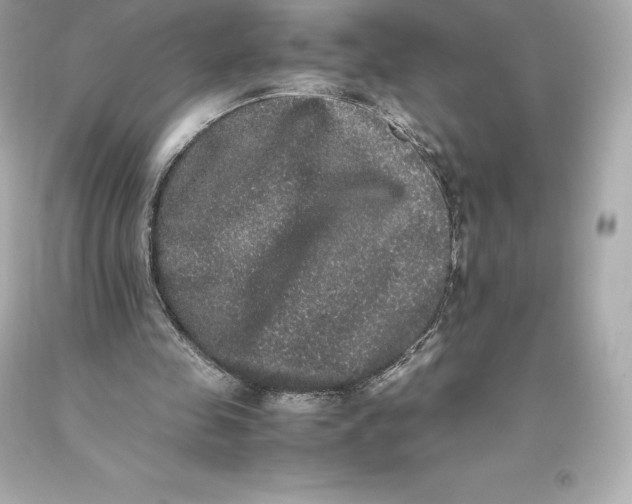 X0000093370341200711011233