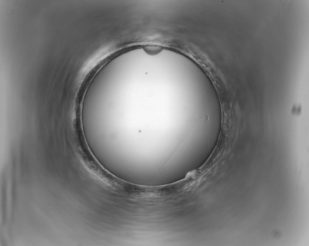 X0000093370344200711011233