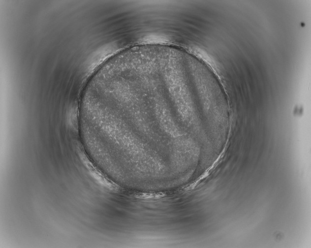 X0000093370345200711011233