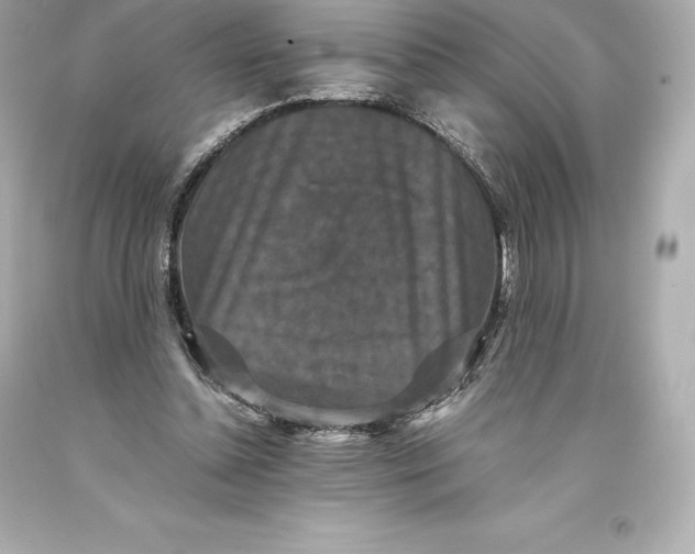 X0000093370348200711011233