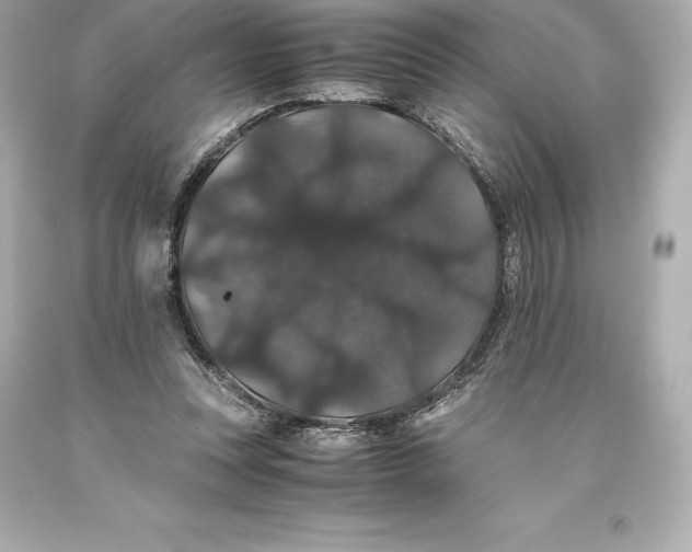 X0000093370351200711011233