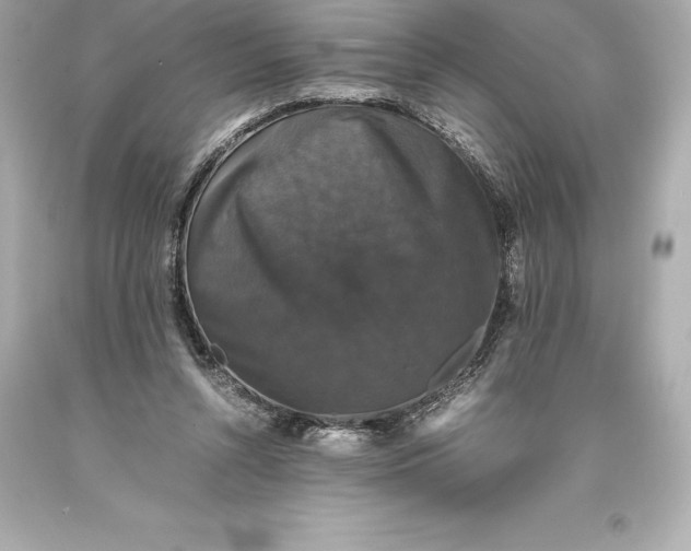 X0000093370352200711011233