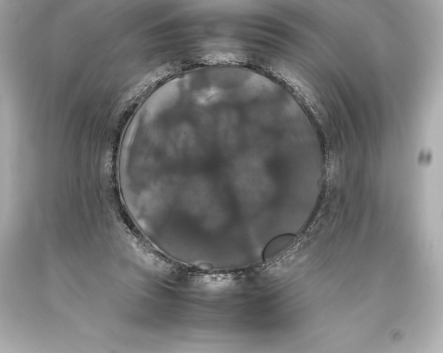 X0000093370353200711011233