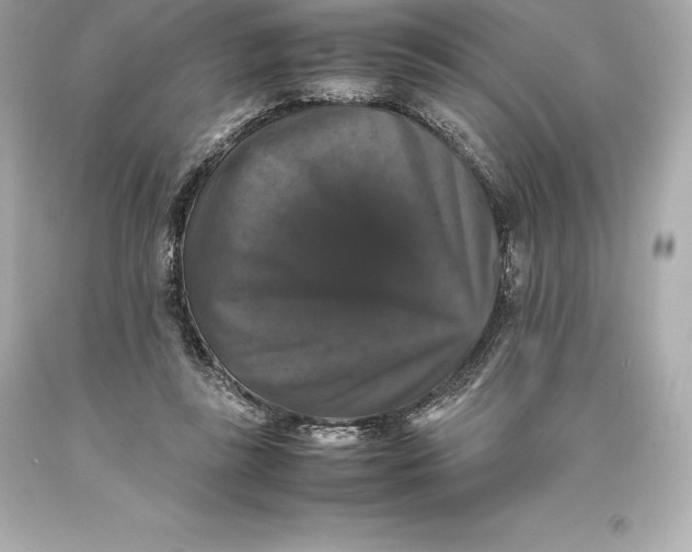 X0000093370355200711011233