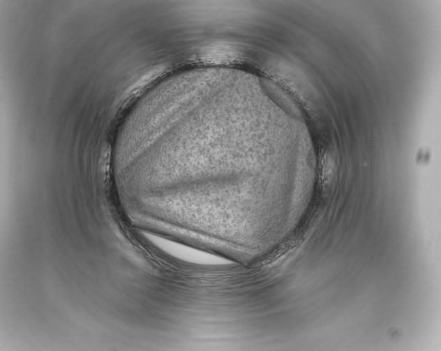 X0000093370356200711011233